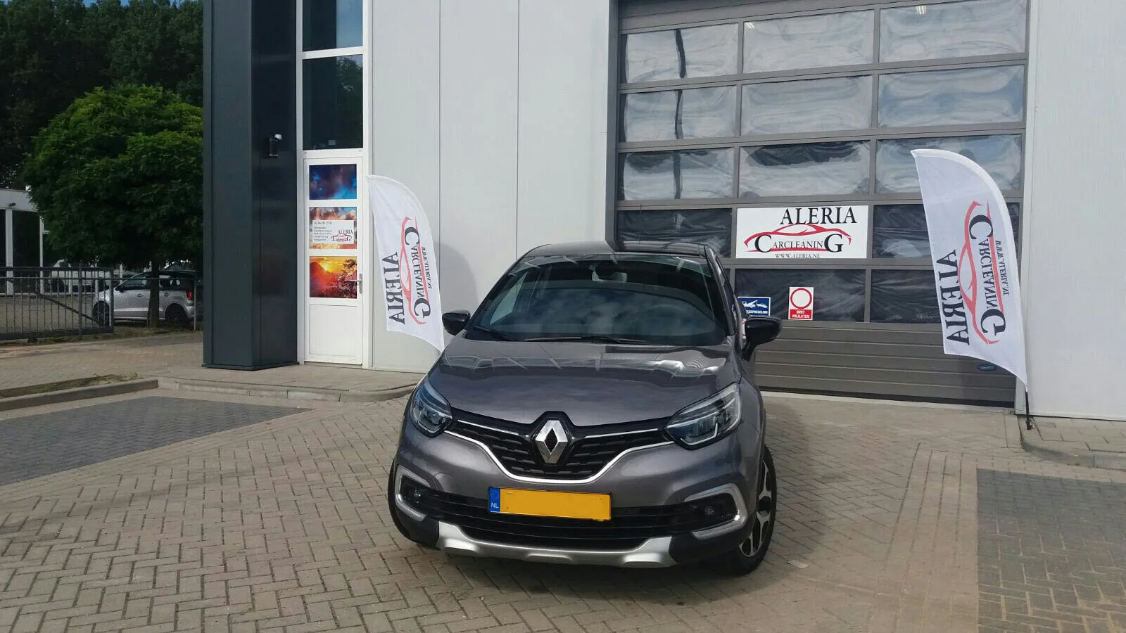 aleria carcleaning