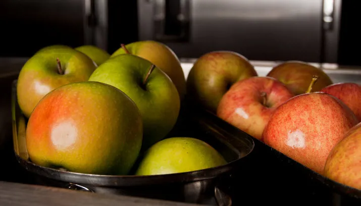 appels giantsqurl foter ccby