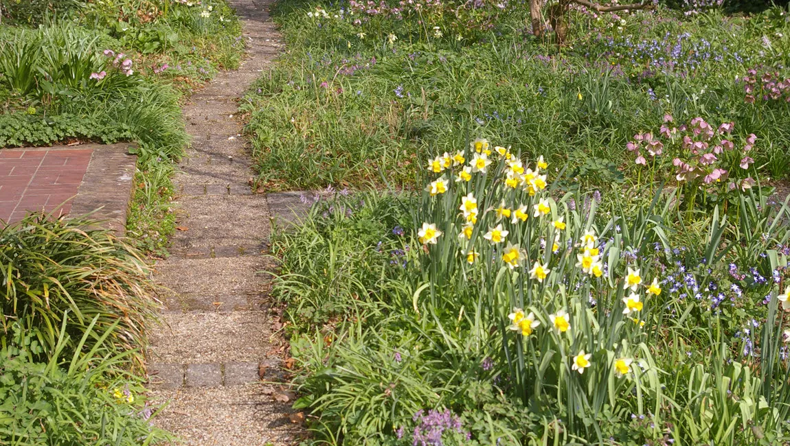 april 1 2021 tineke makel