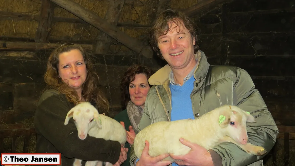 bapaj5a5rgqvyre25896erhp2 heuvenseweg 12 2 14 015