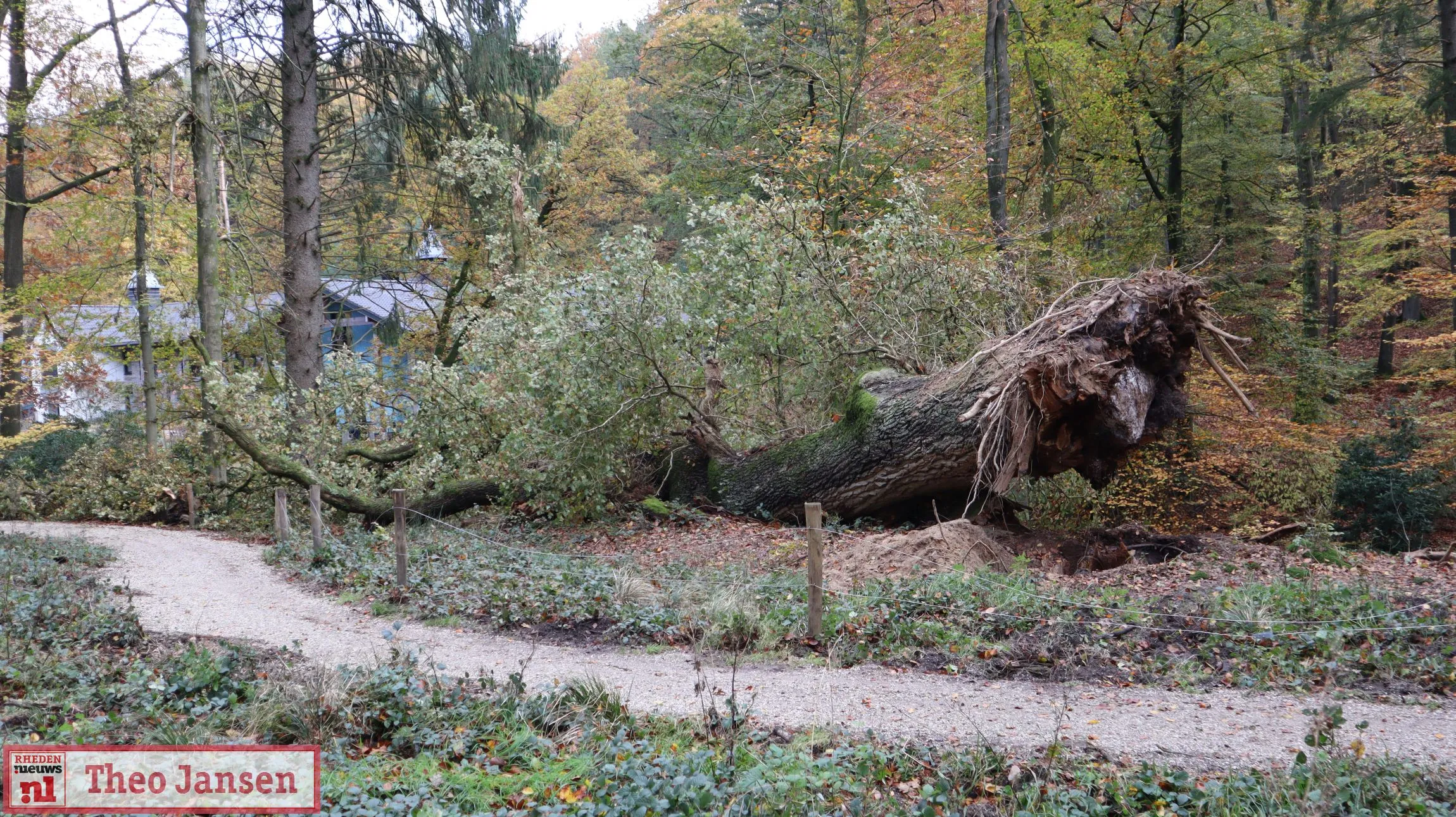 beekhuizenseweg 7 11 23 001