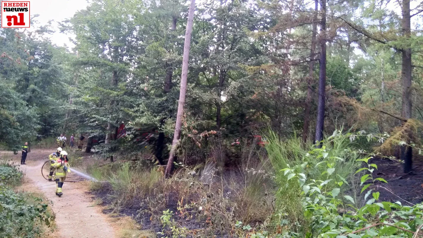 bermbrand a12 velp larenstein 6