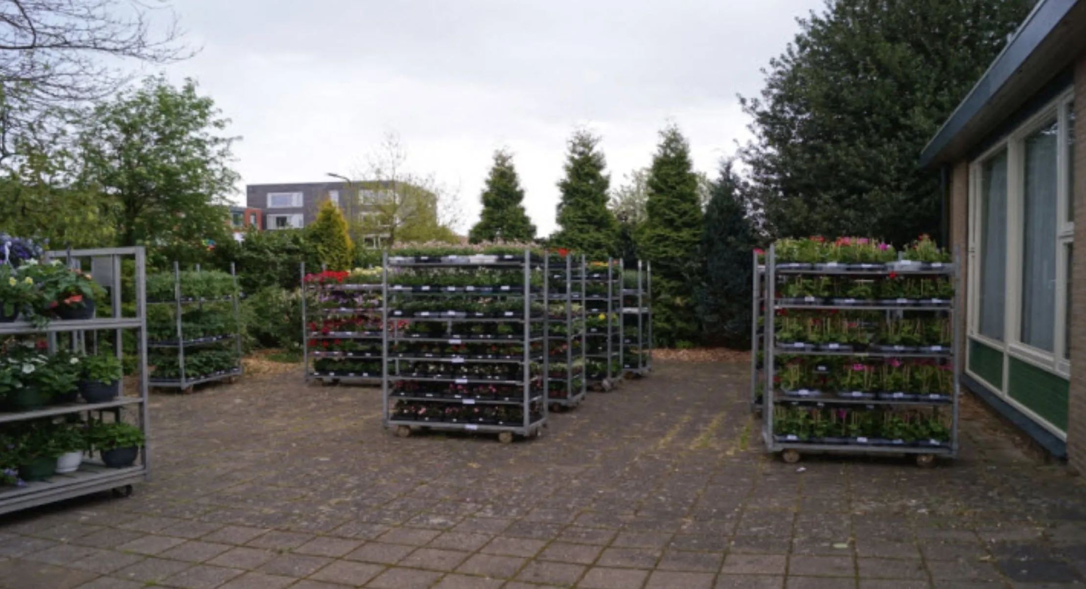 bloemenactie rhedens fanfare corps