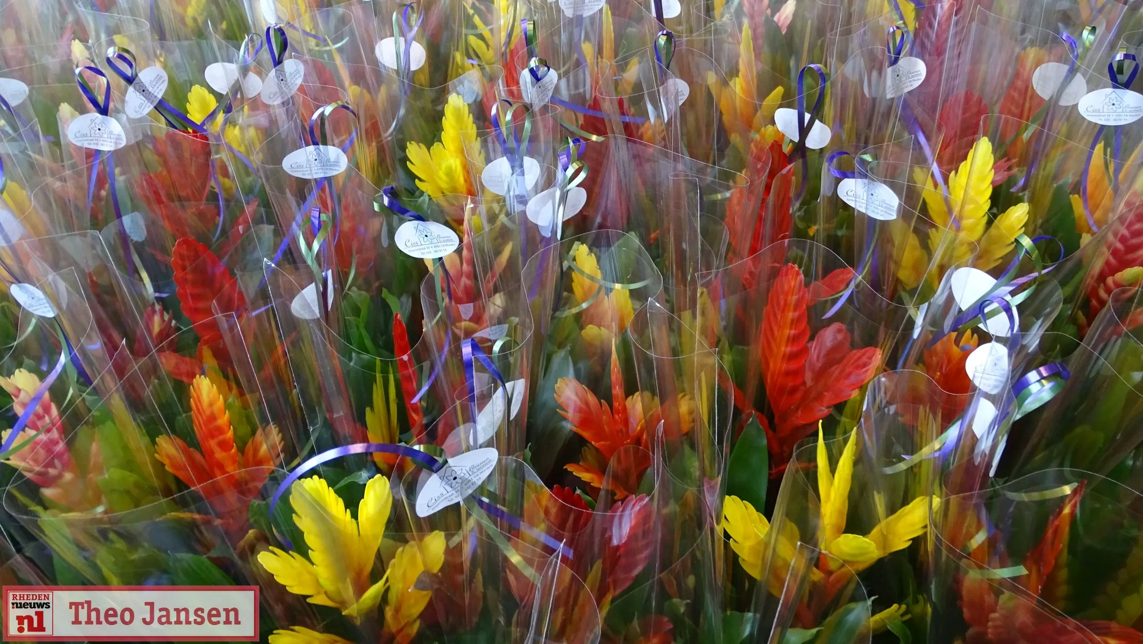 bloemetjesactie mantelzorgers 2018 rhederhof 2