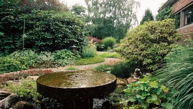 bnjh7wkaodjojmf4ha4o2x6jk rijneveld1