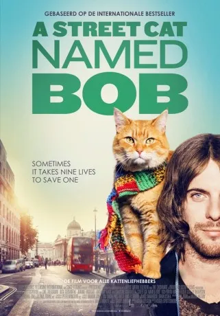 bob de straatkat