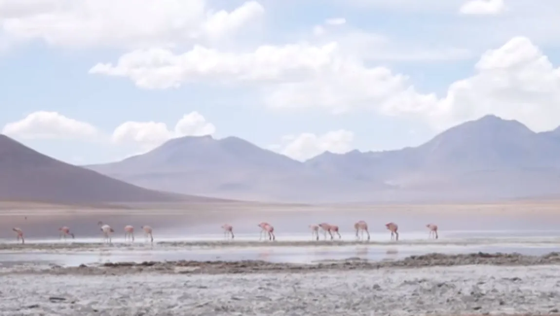 bolivia still youtube