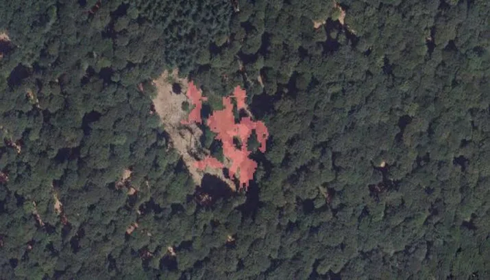 bomenmonitor provincie gelderland