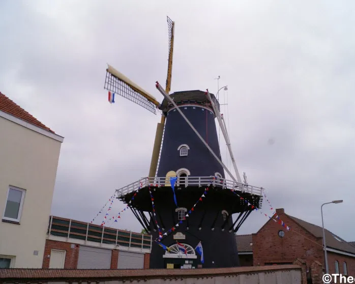 bpmwg8srfhnh9tavysej0ak06 231945