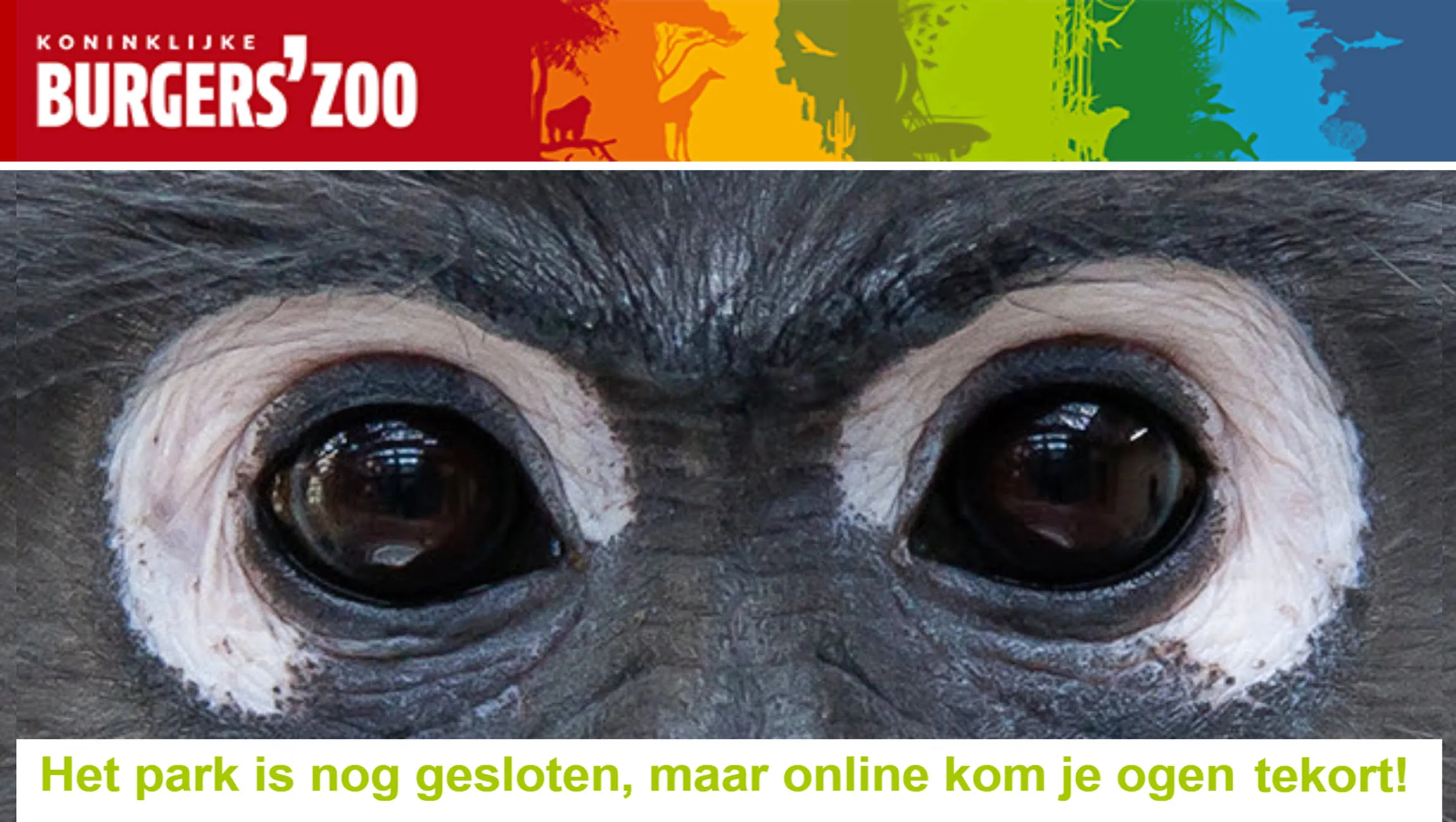 burgers zoo