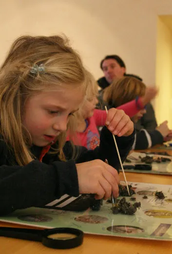 c6w4m4urv0djig53bgtqtc37v 205069