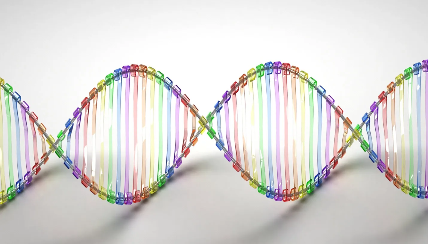 cc by caroline davis2010 via fotercom