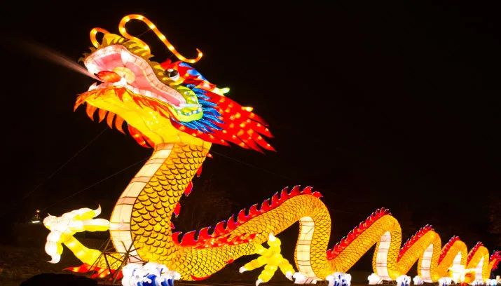 chinesedraak