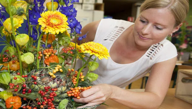 conaf9g523j5v06s6rq2pz65n groenhorst bloemschikken