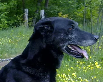 cqzwn2yl2akqu33kxhnduqwpt 231607