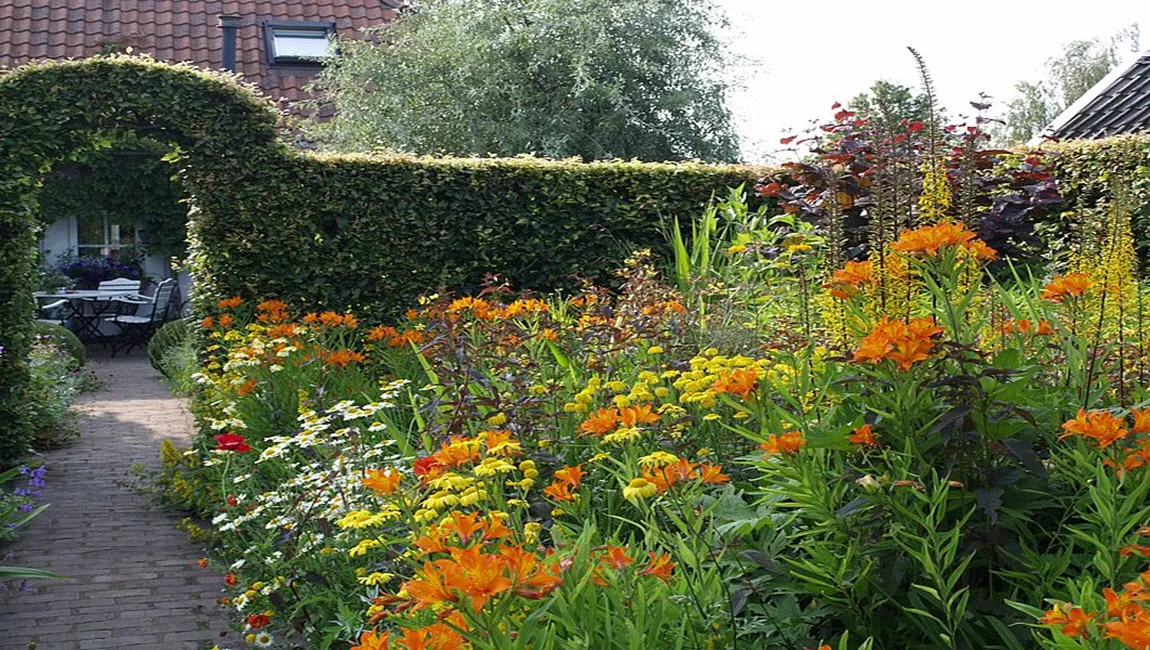 csm 1 3745 alie stoffels 26f339686b1