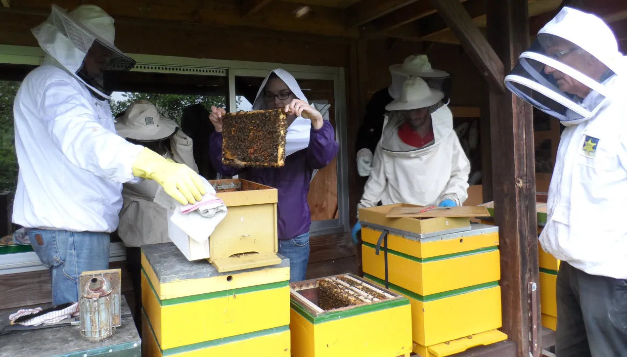 ct5ccpfbjf3qxxi9xlwte54za sam2503