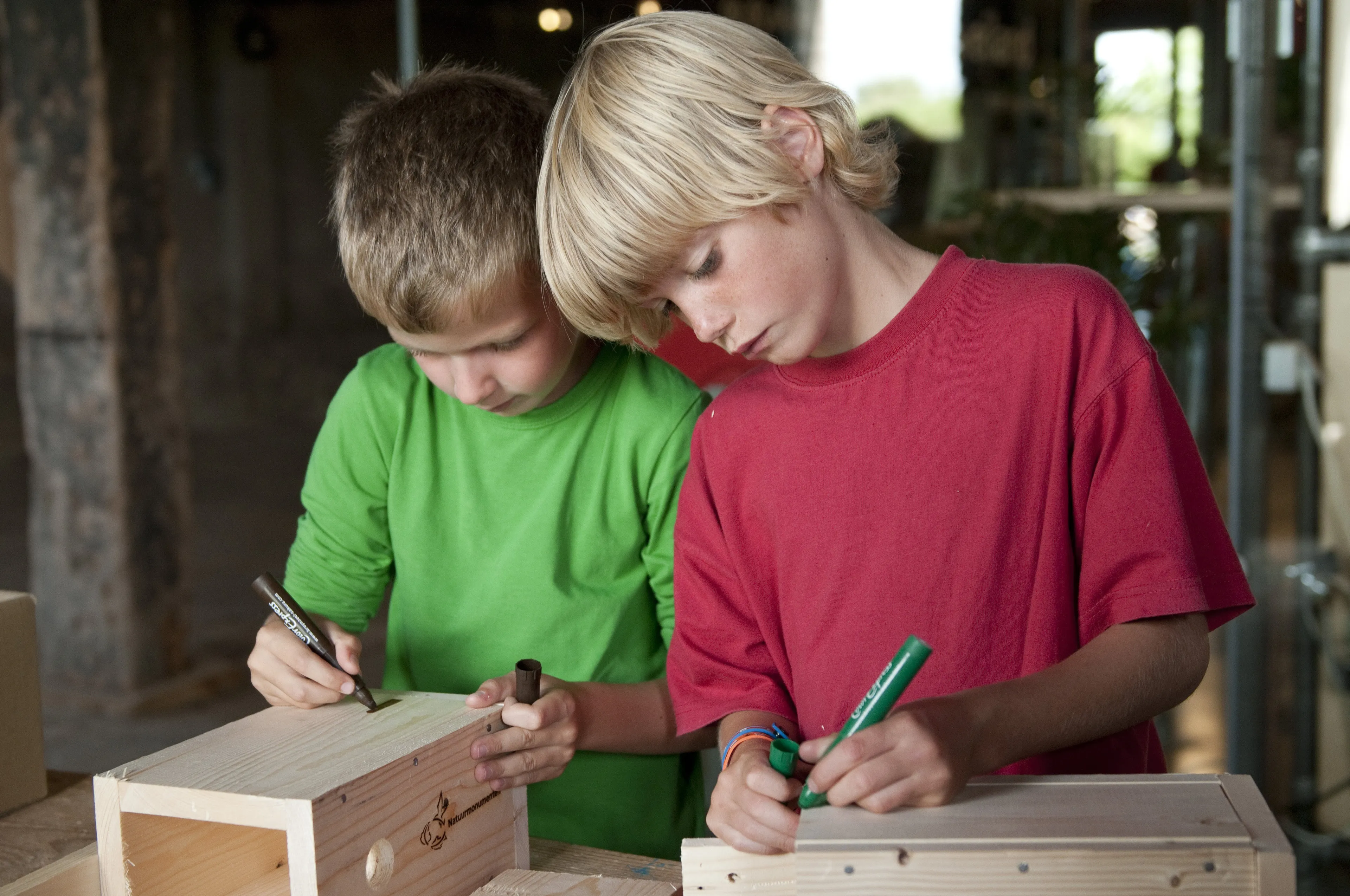 d0865t832ii0bsxb51yohkw0x nestkastje timmeren ren koster