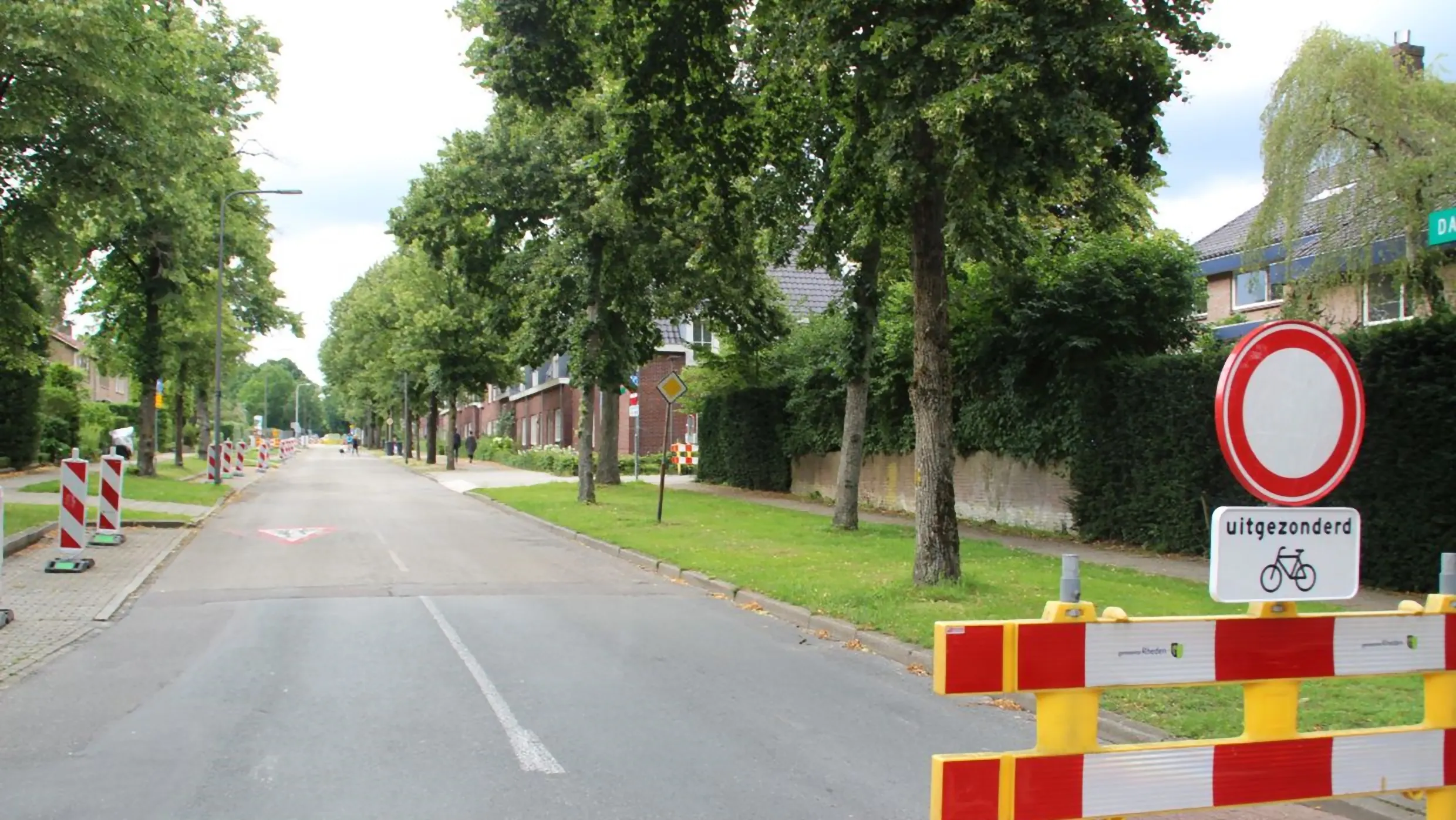 daalhuizerweg velp aanplant lindebomen