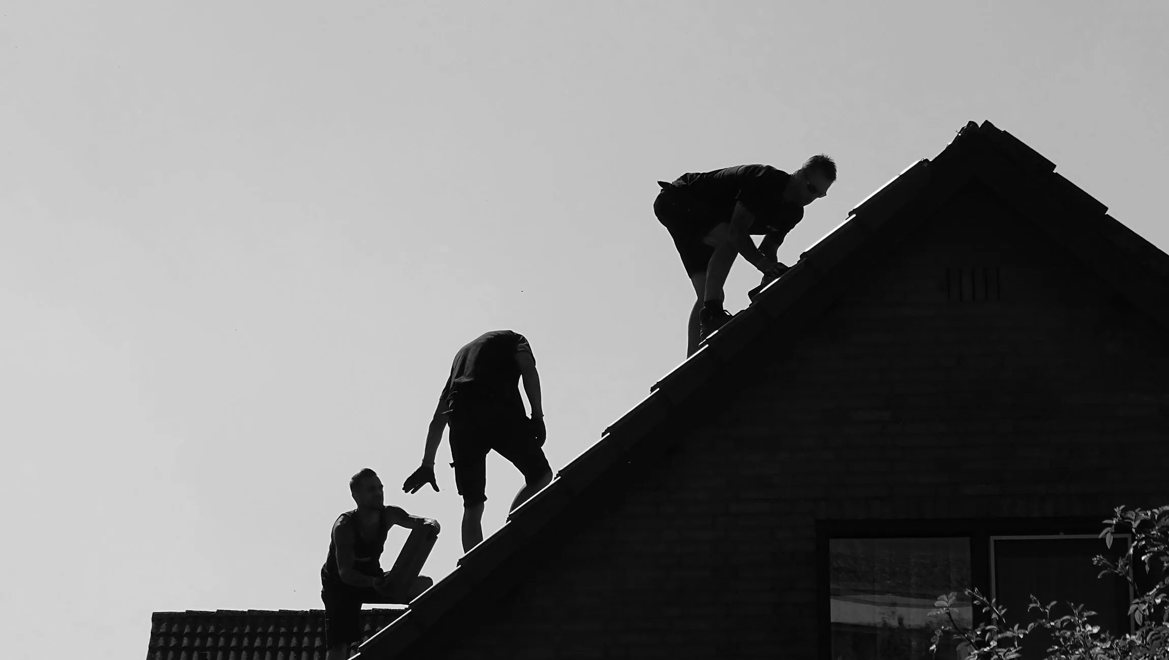 dakherstel fotoclub velp