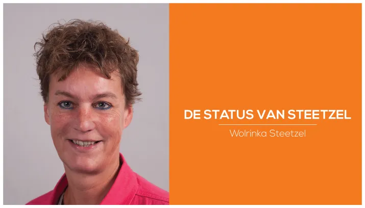 de status van steetzel1