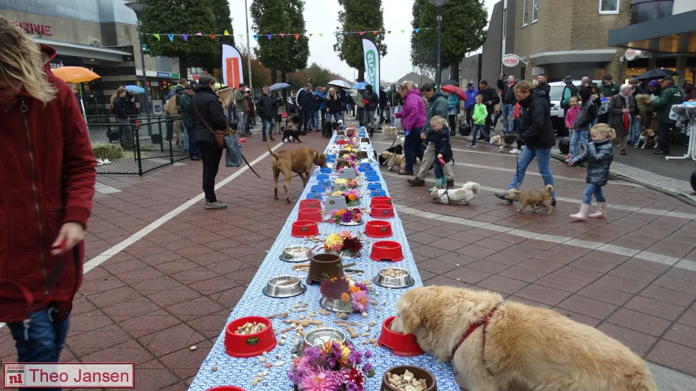 dierenbuffet 07 10 2017 dieren 6
