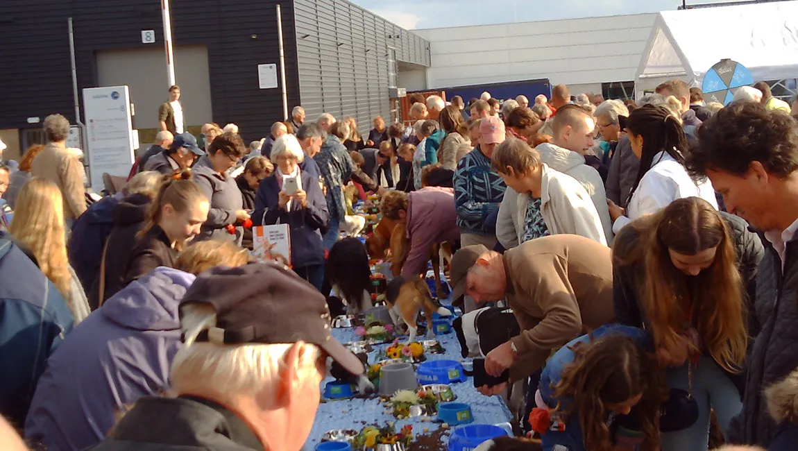 dierenmetdieren buffet 2019 23