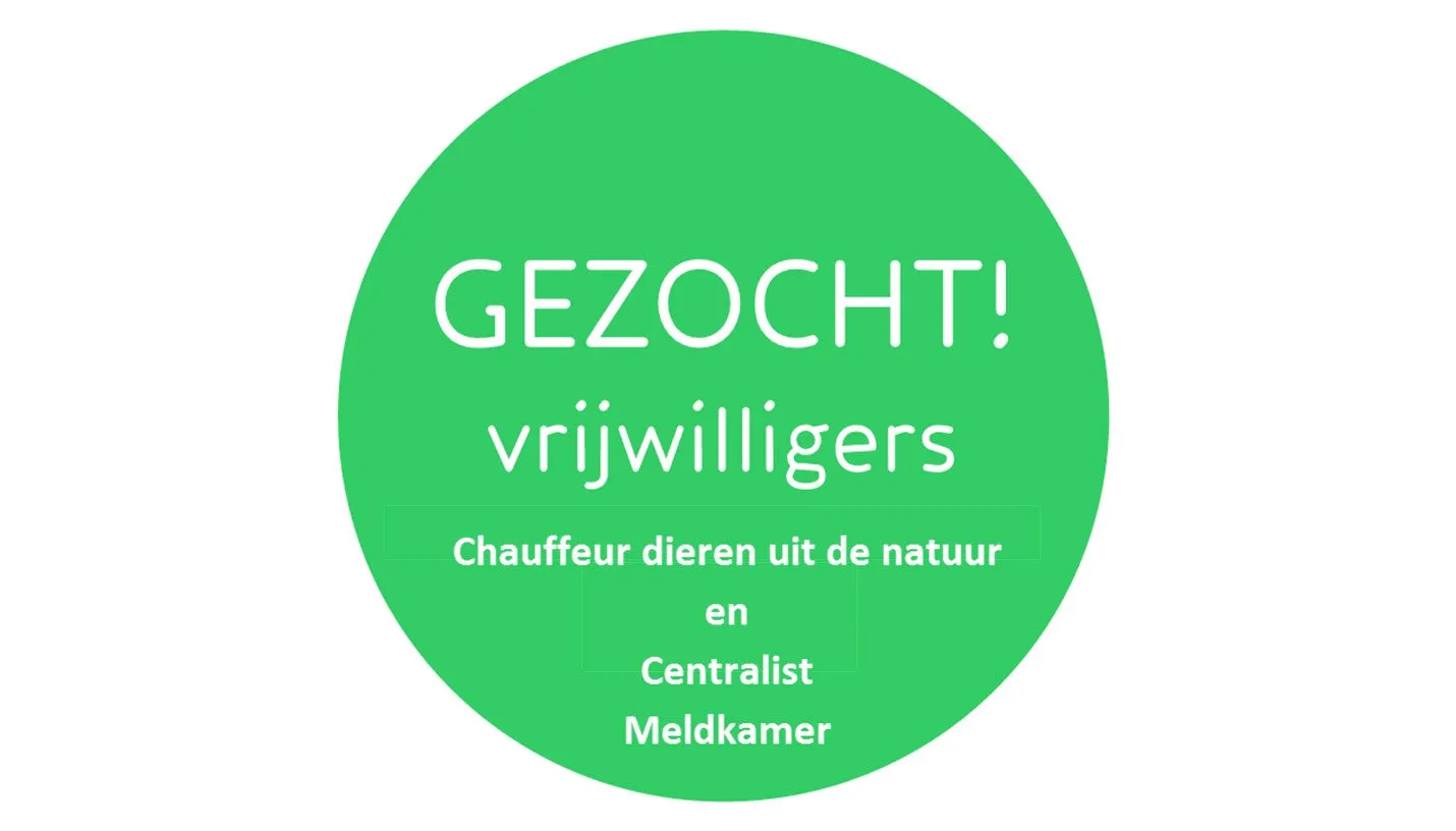 dierentehuis arnhem en omstreken vacatures1