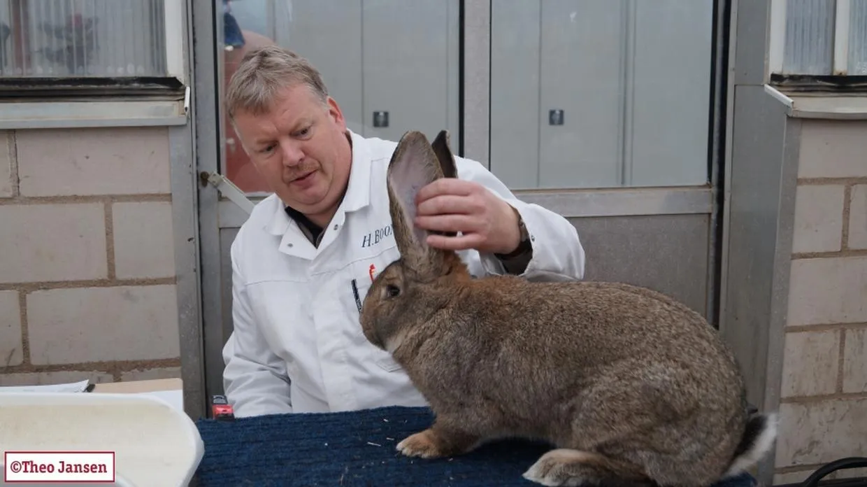 dkyfoykeo7lkbrd1iidcir9cn raskonijn