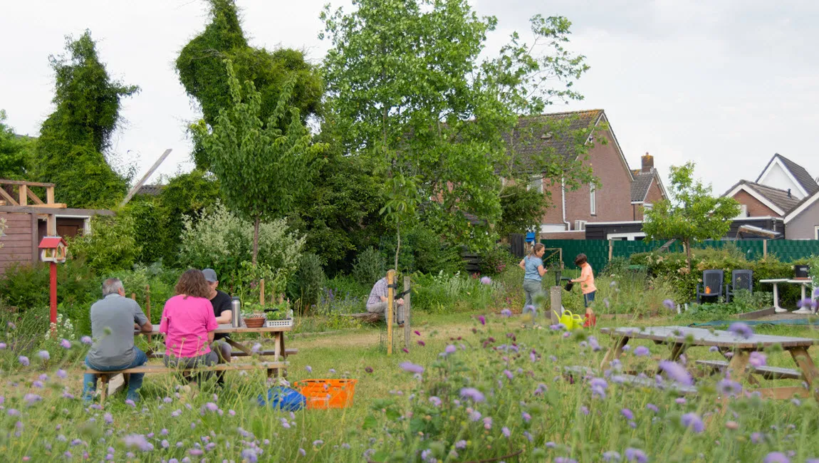 dorpstuin foto rietta veldhuis