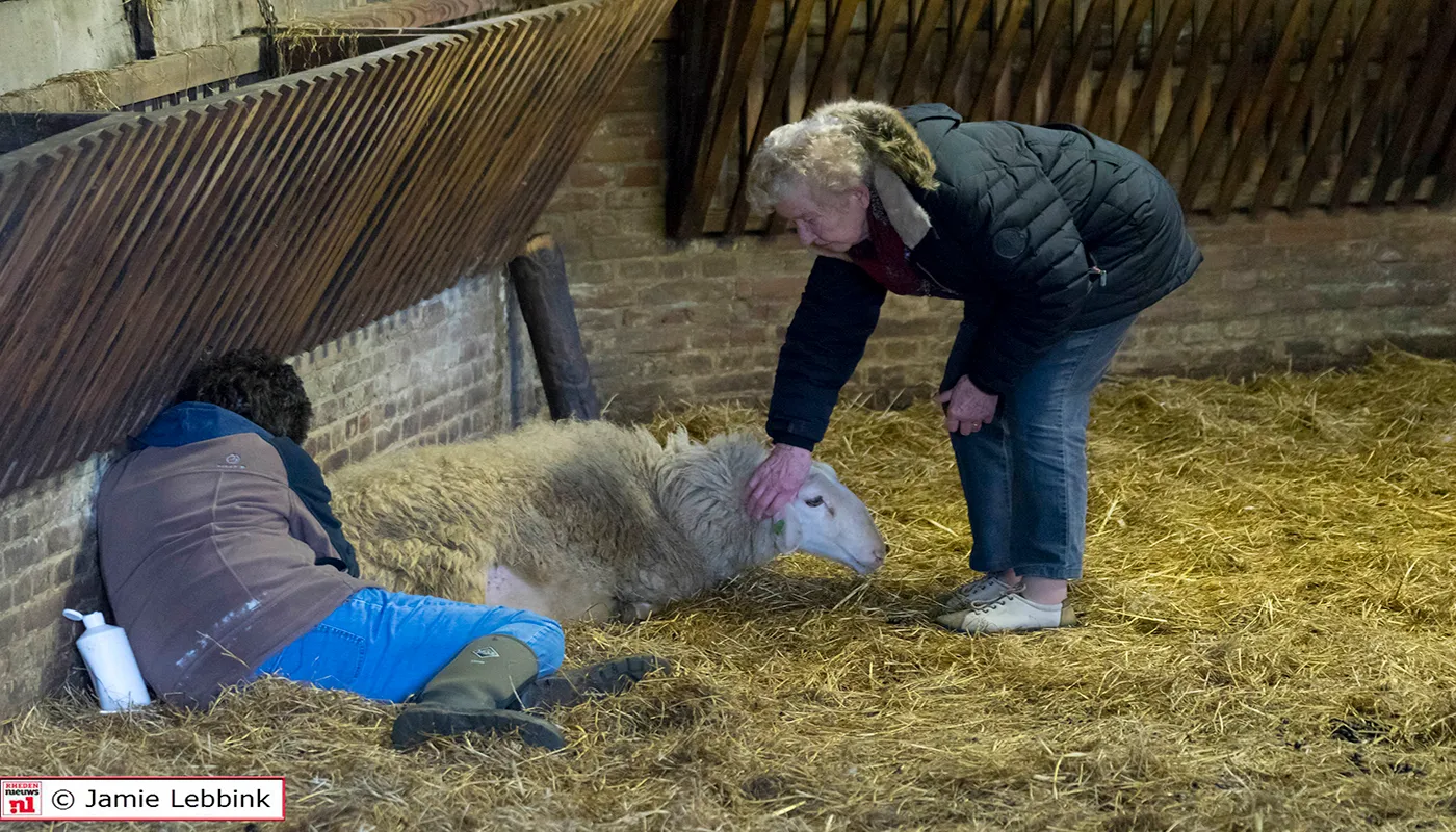 dsc5148jamielebbinka7iijla77