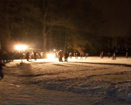 dwj45ty0t1rrj8lktp3lwr4o9 117949