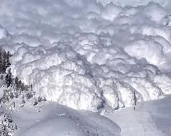 dx7myvfdajy23drb2wrazivyt 122912