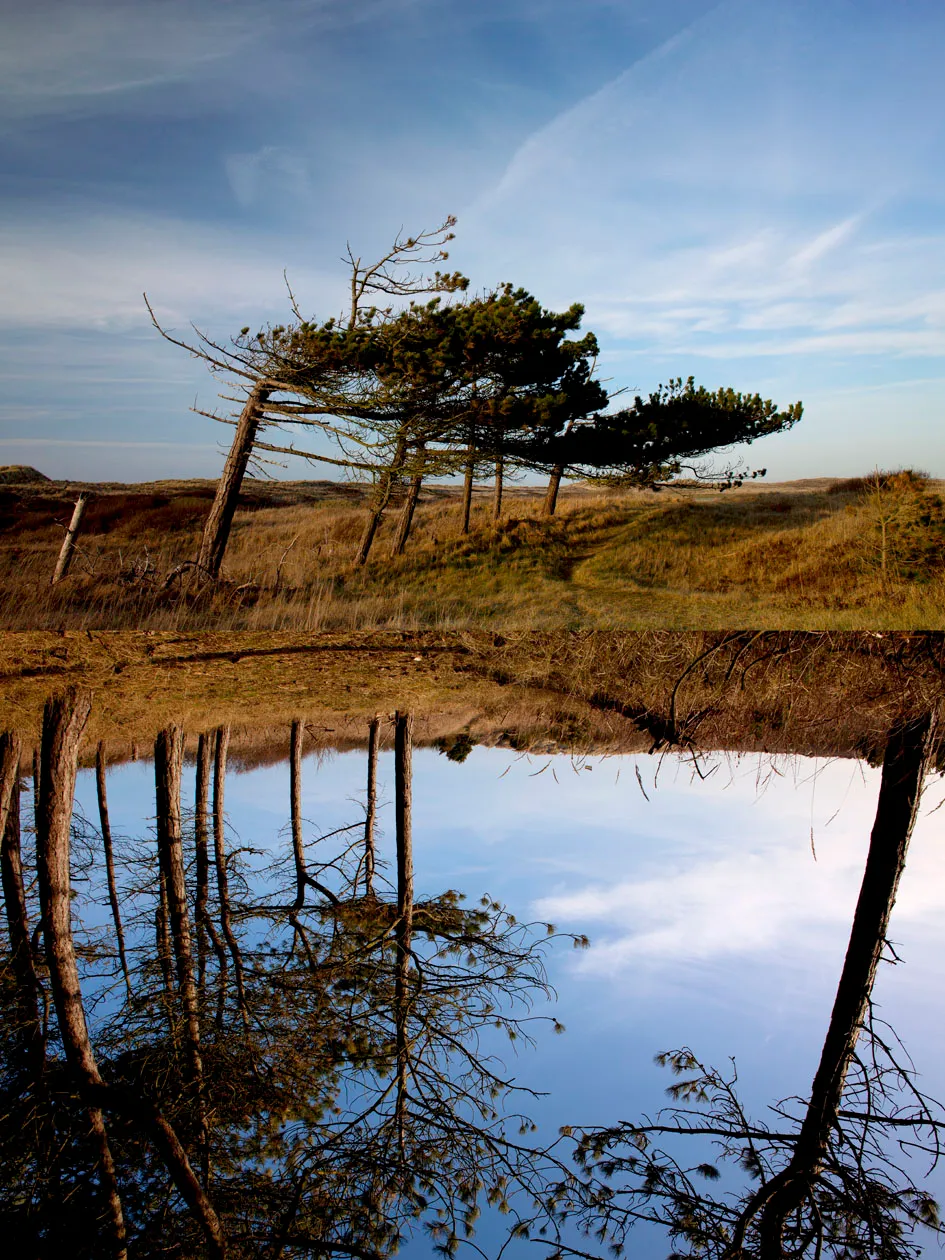 dz22wi0vs9itrymni86cqz8r8 kaap hoorn