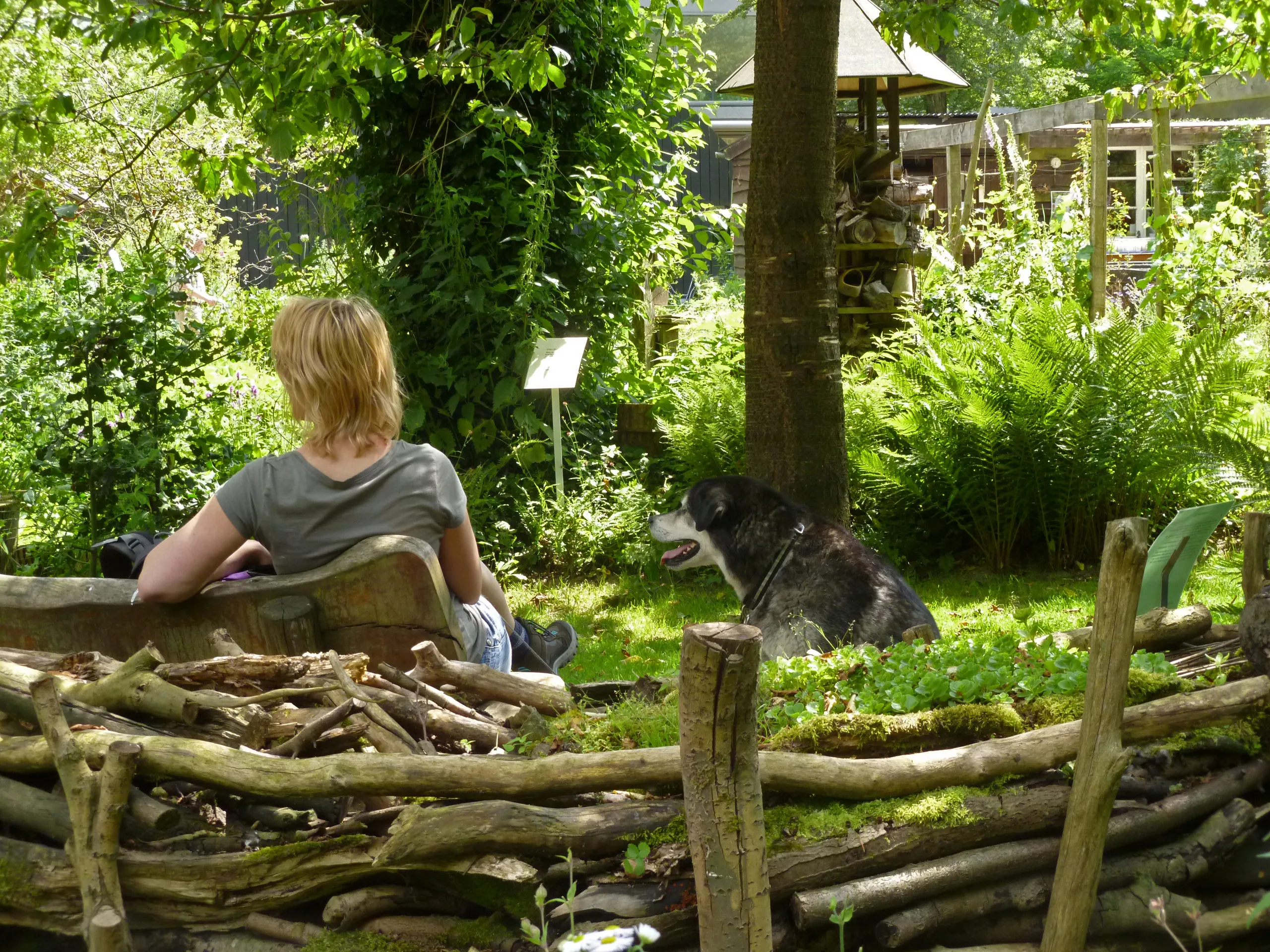 e7vcn23f3k3ksamgng1xp1lnv poziemiddag in de ivn tuin