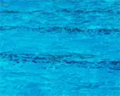 ei8ybu307ubjofq6pgt1kufgl 127297