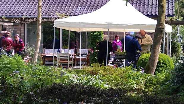 ems0kbzn1zfpfl0yai1nsdfgt groei en bloei1