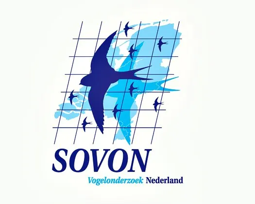 eo8dq0krx99sao0i7i7ofkg26 186831