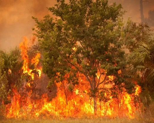 eo97lm4jhqgzciasiflk9c7n5 155233