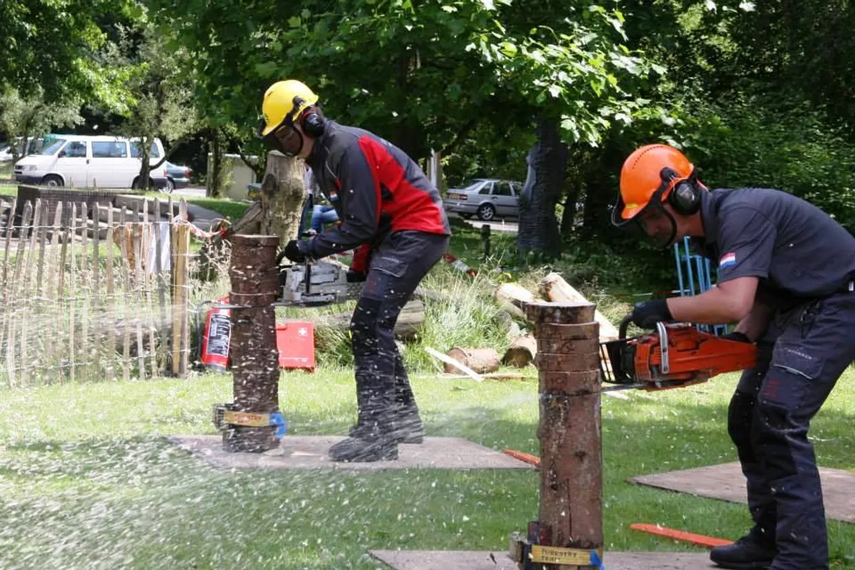 etrjdbuzj00dzlr5zqjq4w2gl 2014 01 25 forrestry cup005