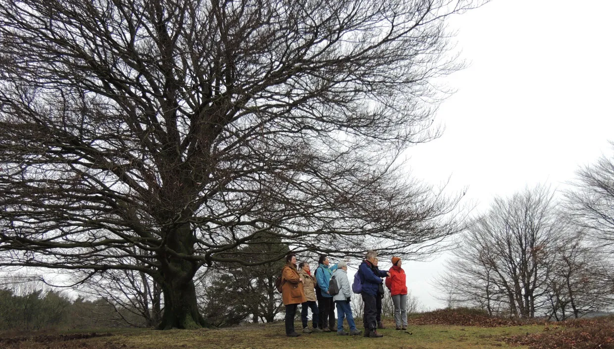 eutz2isen0yh4zbiogaxvdr0v decemberwandeling