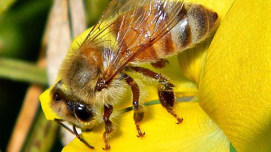 f5jas2lllgut8mewkdapnws8m bijgeloof