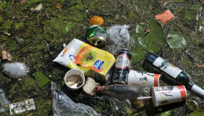 facemepls via fotercom cc by