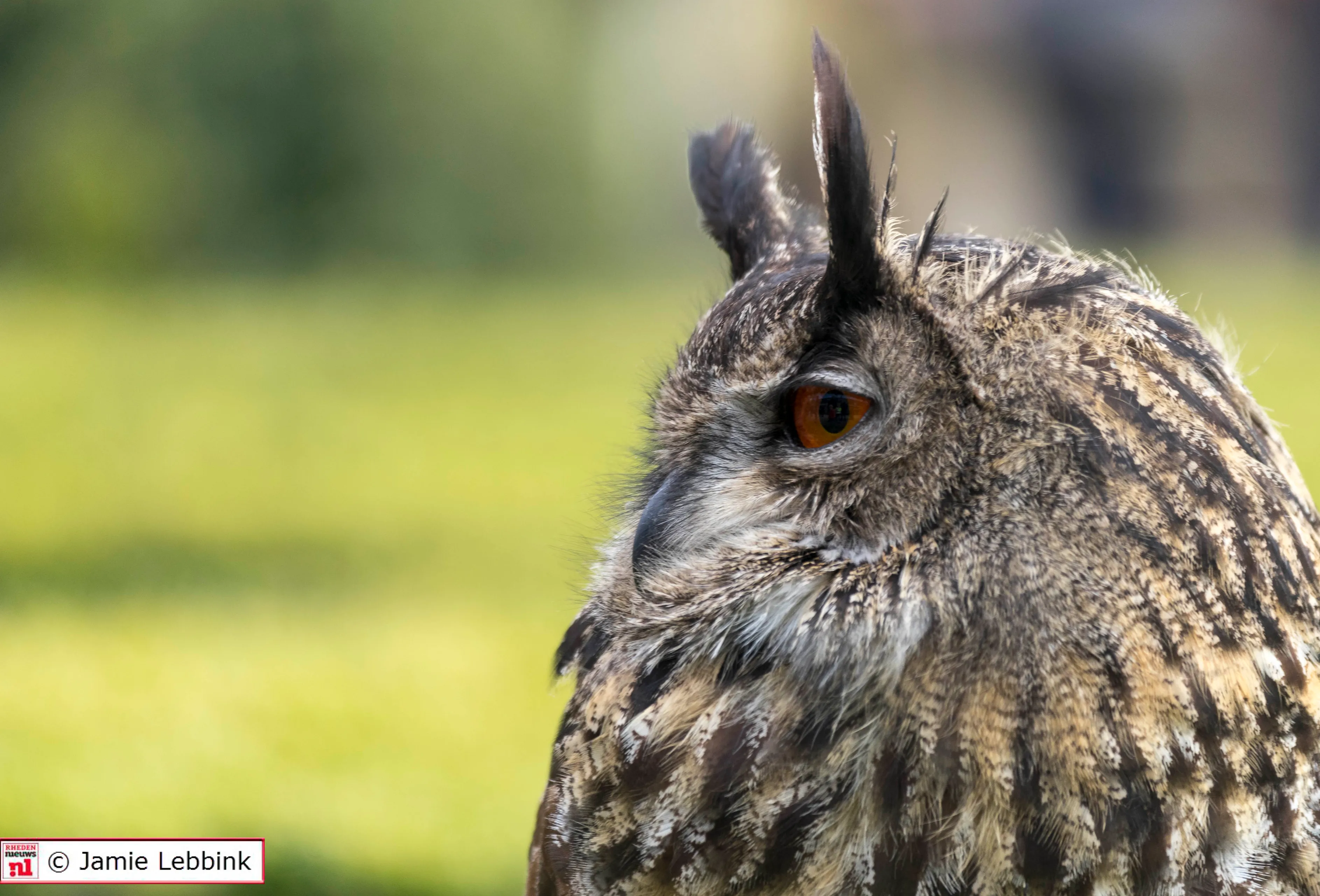 faunadag middachten 2018 03 24 5