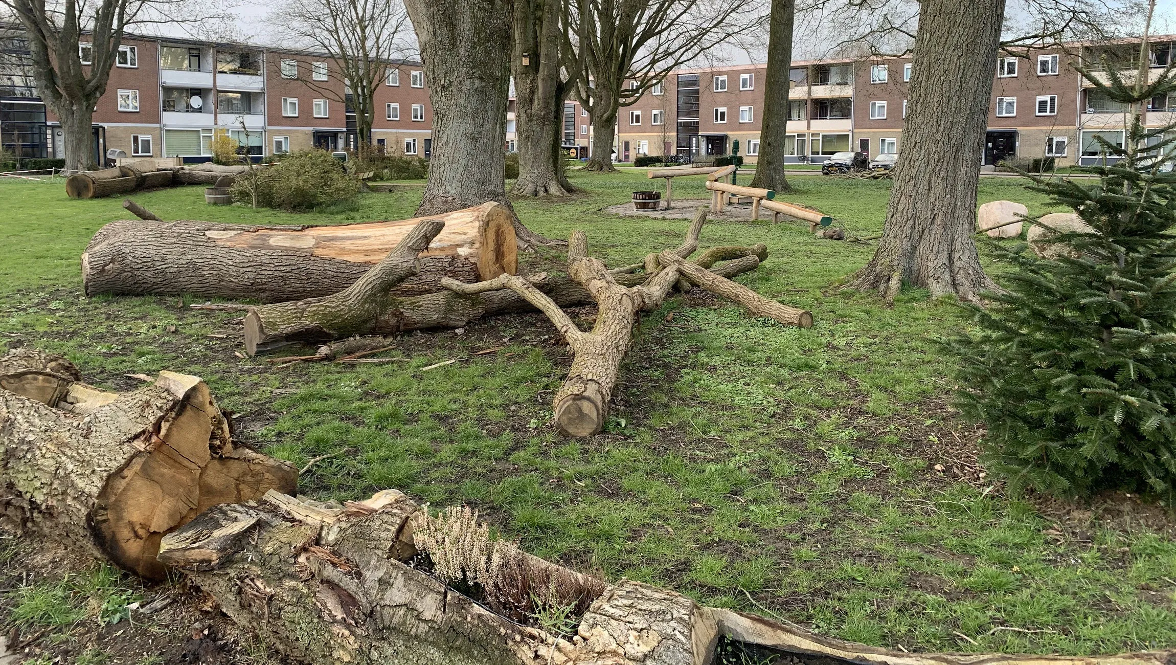 foto speeltuin merel zuiderwijk