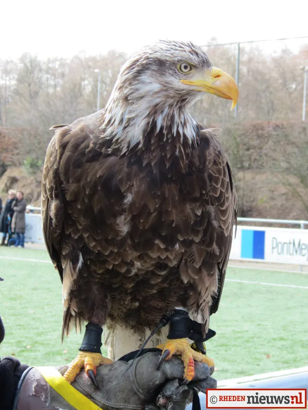 fqocjvfv48p55xkdf2oxahm5c vitessehertog