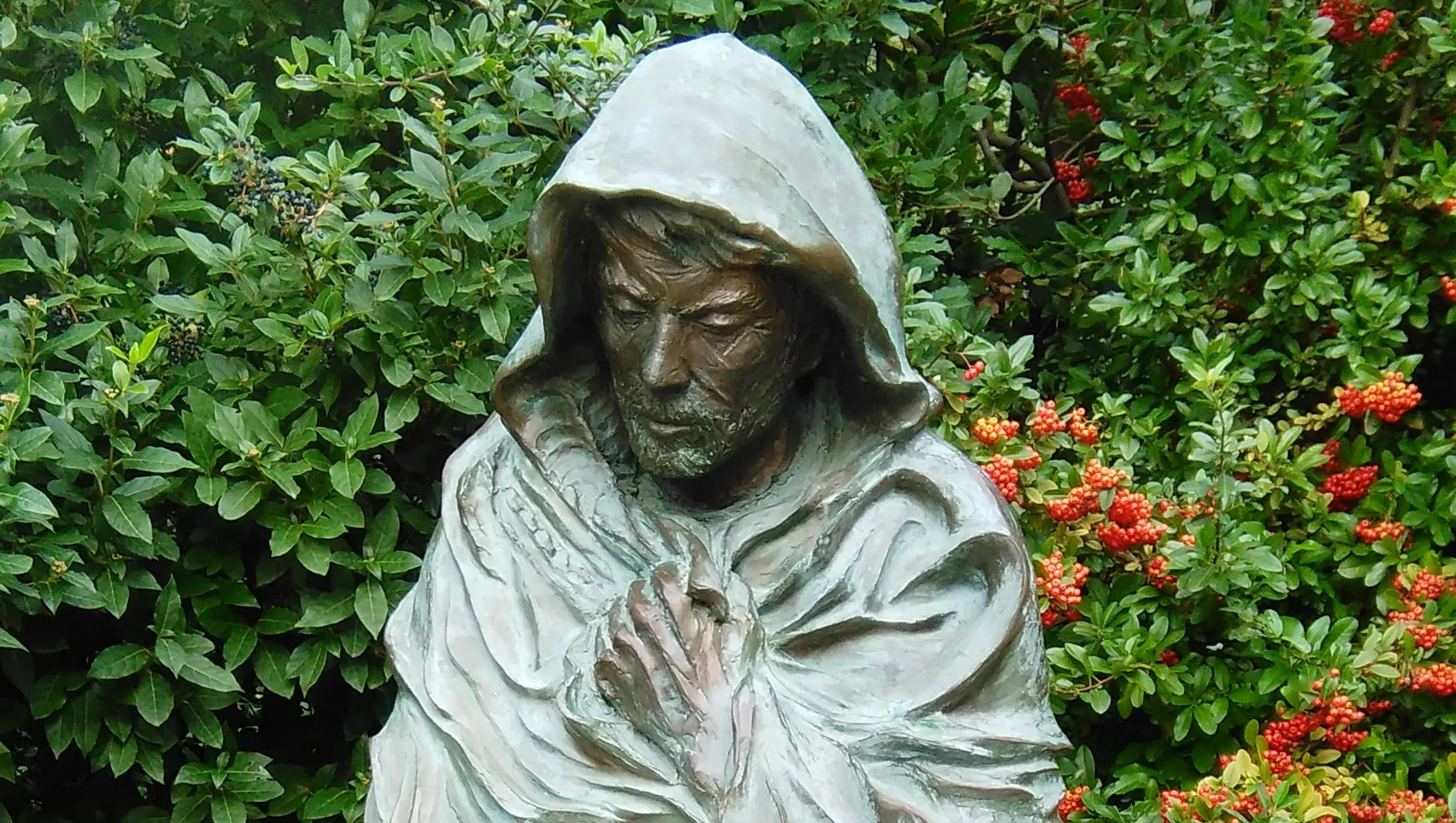 franciscus van assisi