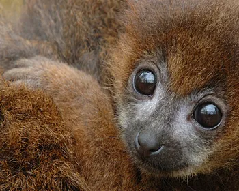 gqspsjc0u57tmogp73qy6797j 142887