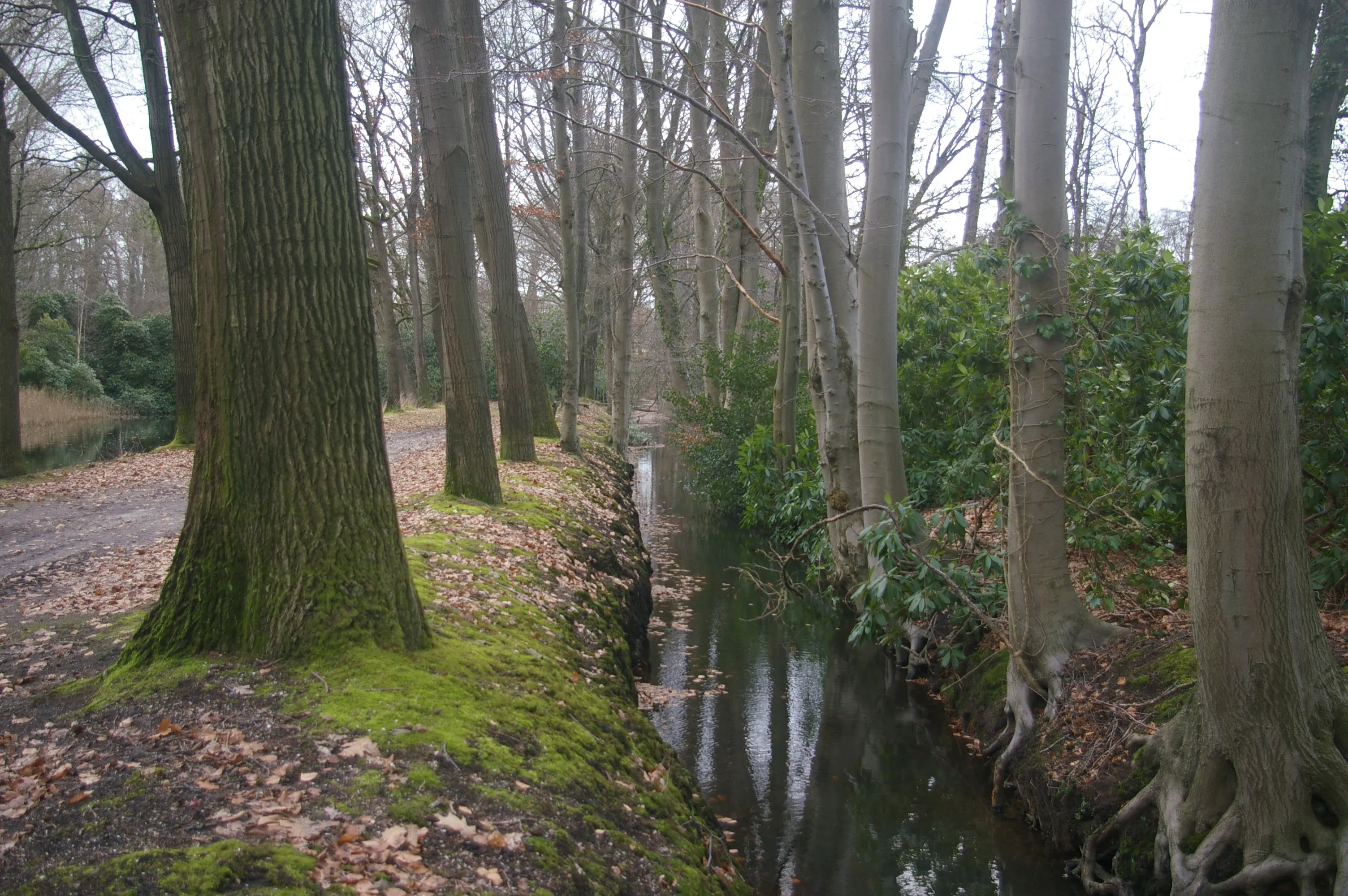 groei bloei veluwezoom lezing tussen veluwe en ijssel tineke makel