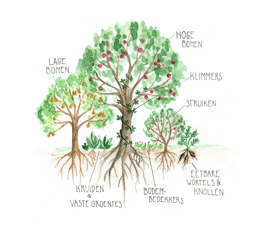 groene kerkplaatje